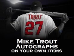 Mike Trout Autographed Los Angeles Baseball Signed Red Jersey MLB  Authenticated COA at 's Sports Collectibles Store
